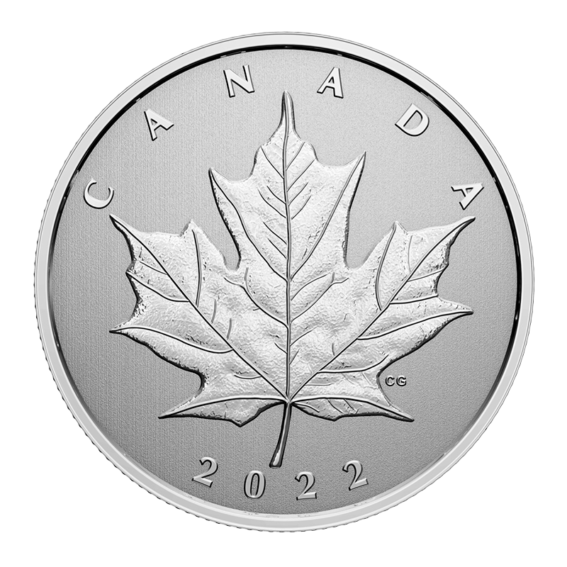 1/4 oz Moments to Hold - Your Canadian Story Silver Coin (2022) 1