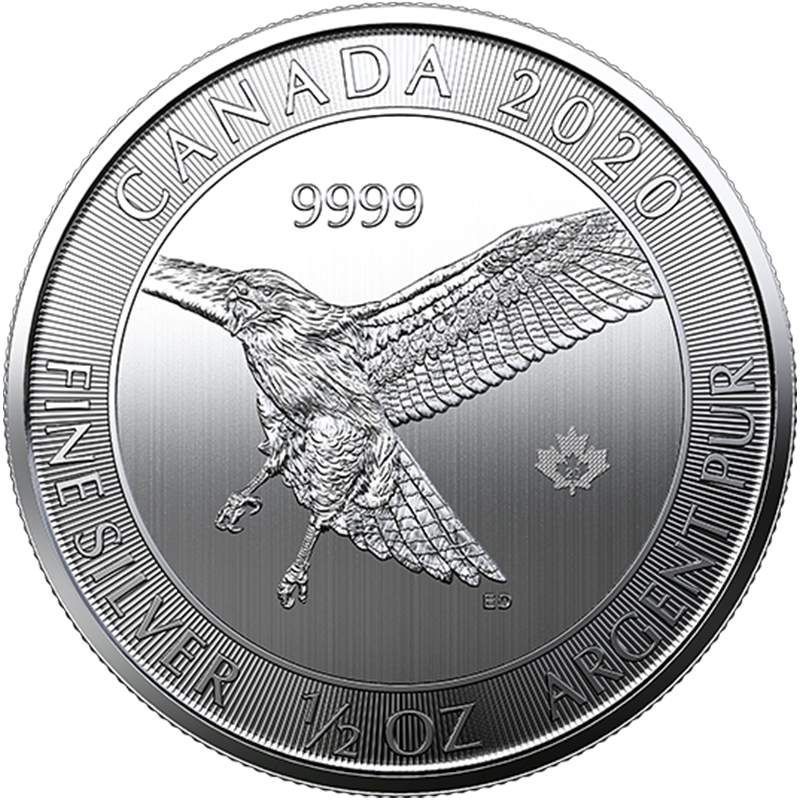 1/2 oz Royal Canadian Mint Silver Red-Tailed Hawk Coin (2020)