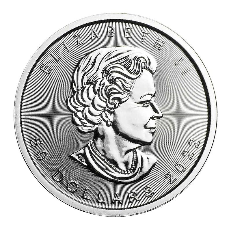 1 oz Platinum Maple Leaf Coin (2022) 2