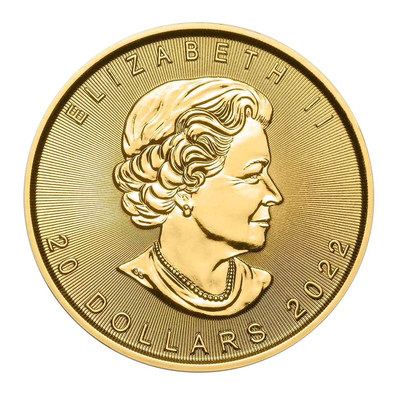 1/2 oz Gold Maple Leaf Coin (2022) 2