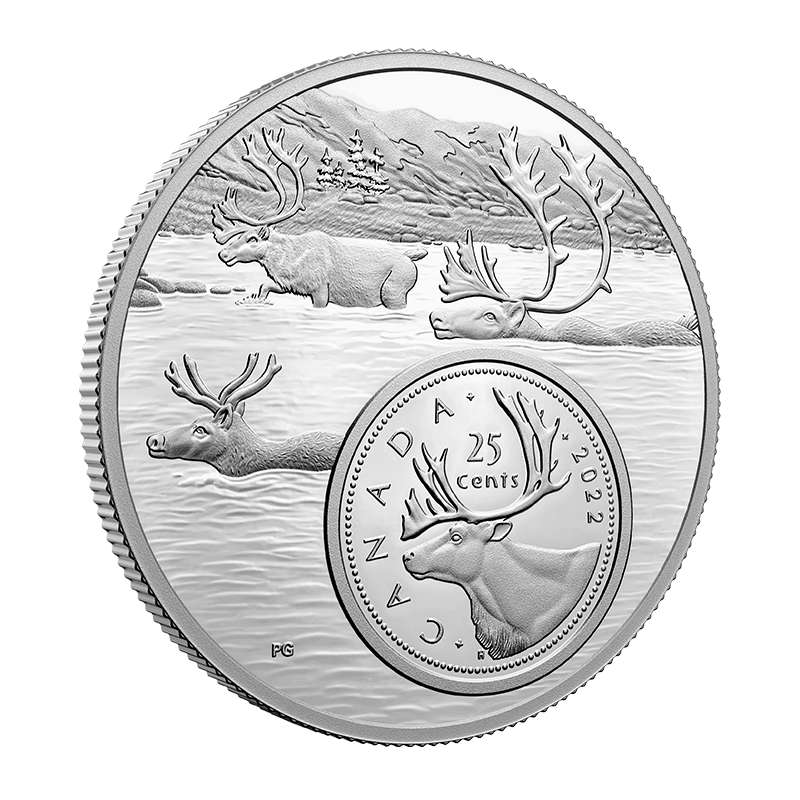 5 oz Fine Silver Coin The Bigger Picture: 25 - Cent Coin - The Caribou (2022) 3
