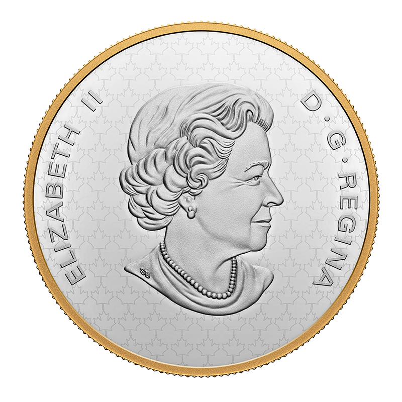 5 oz Fine Silver Coin The Bigger Picture: The Loon 2