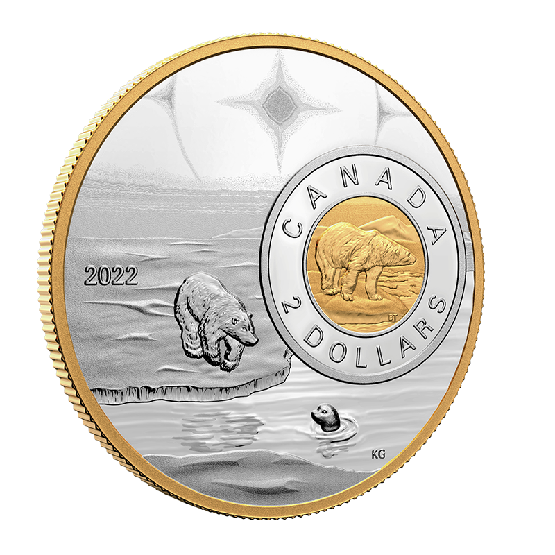 5 oz. Fine Silver Coin The Bigger Picture: The Polar Bear (2022) 3
