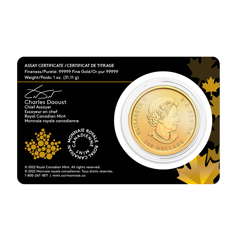 Klondike Gold Rush: 1 oz Prospecting for Gold Coin (2022) 4