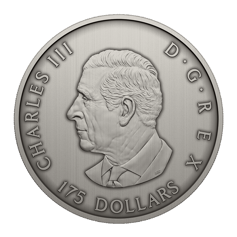 Predator or Prey In Shadow Box Silver Coin (2025) 2